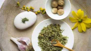 The 5 Best Herbs for Spring Allergy Relief