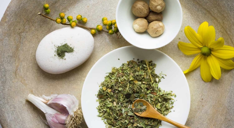 The 5 Best Herbs for Spring Allergy Relief