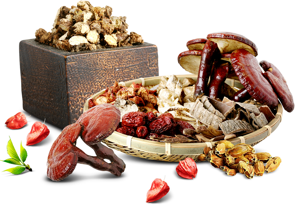 Chinese Herbal Medicine 101: The Power of Nature in Healing